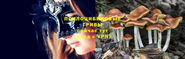 spice Абаза