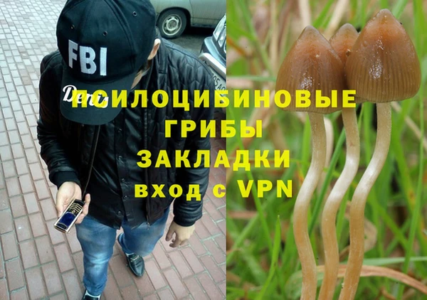 spice Абаза