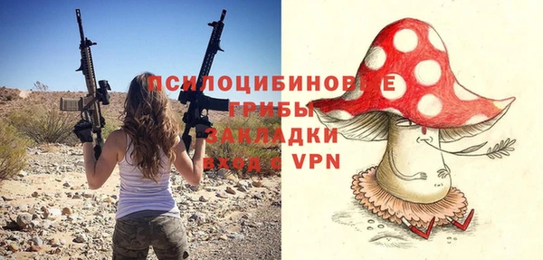 ECSTASY Алзамай