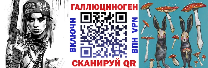 Псилоцибиновые грибы Psilocybine cubensis hydra ссылка Зубцов